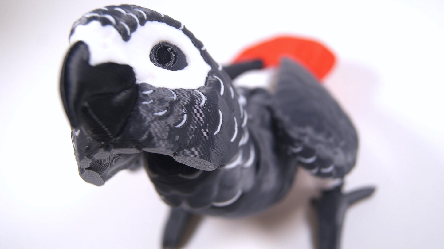Articulated African Grey Parrot 3D Printed Parrot Model - 3D Printed African Grey Parrot - Bird Ornament Display Item - Bird Fidget