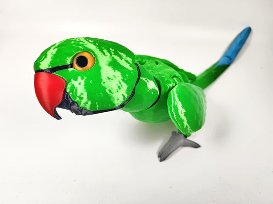 3D Printed Articulated Ringneck Parakeet: Poseable Parakeet Parrot Fidget
