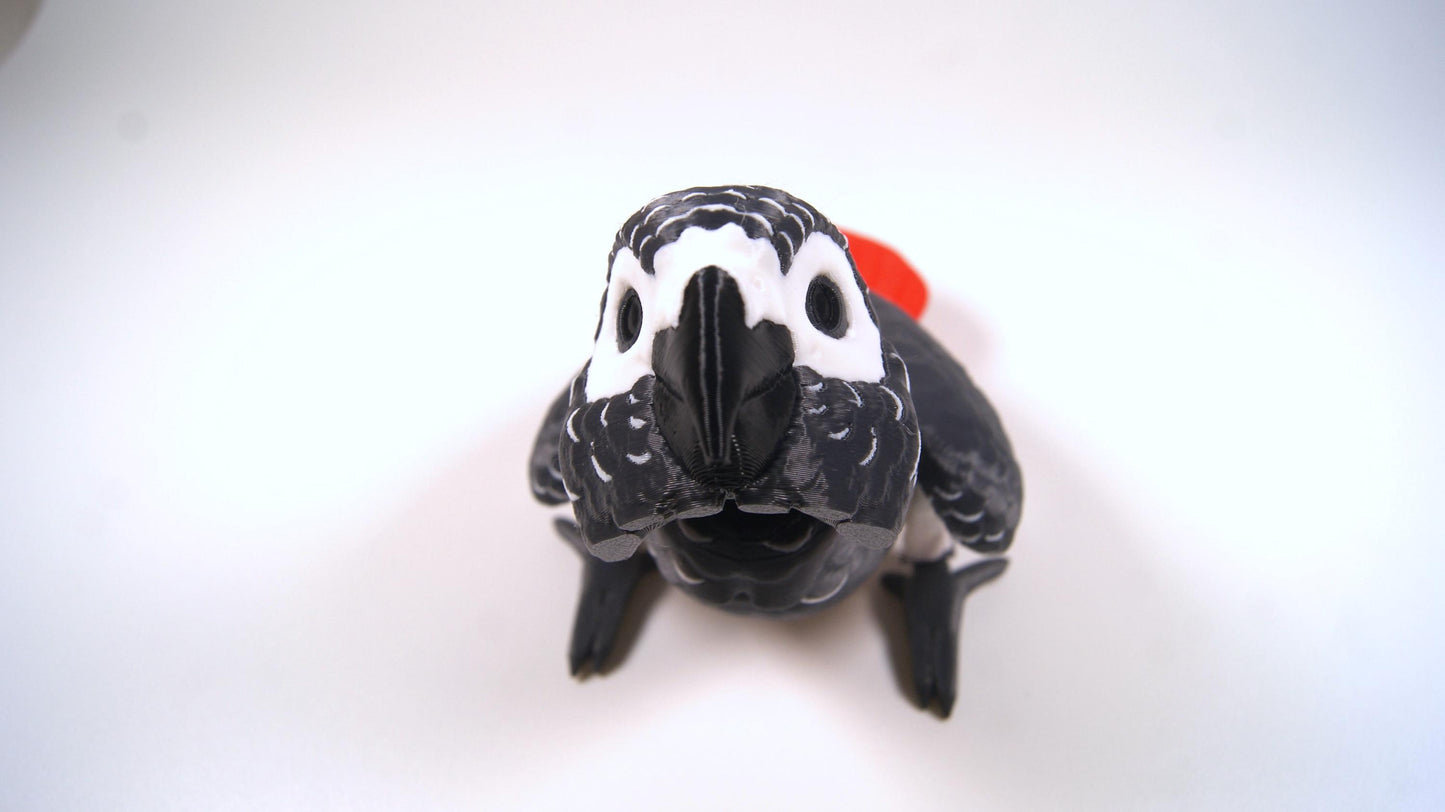 Articulated African Grey Parrot 3D Printed Parrot Model - 3D Printed African Grey Parrot - Bird Ornament Display Item - Bird Fidget