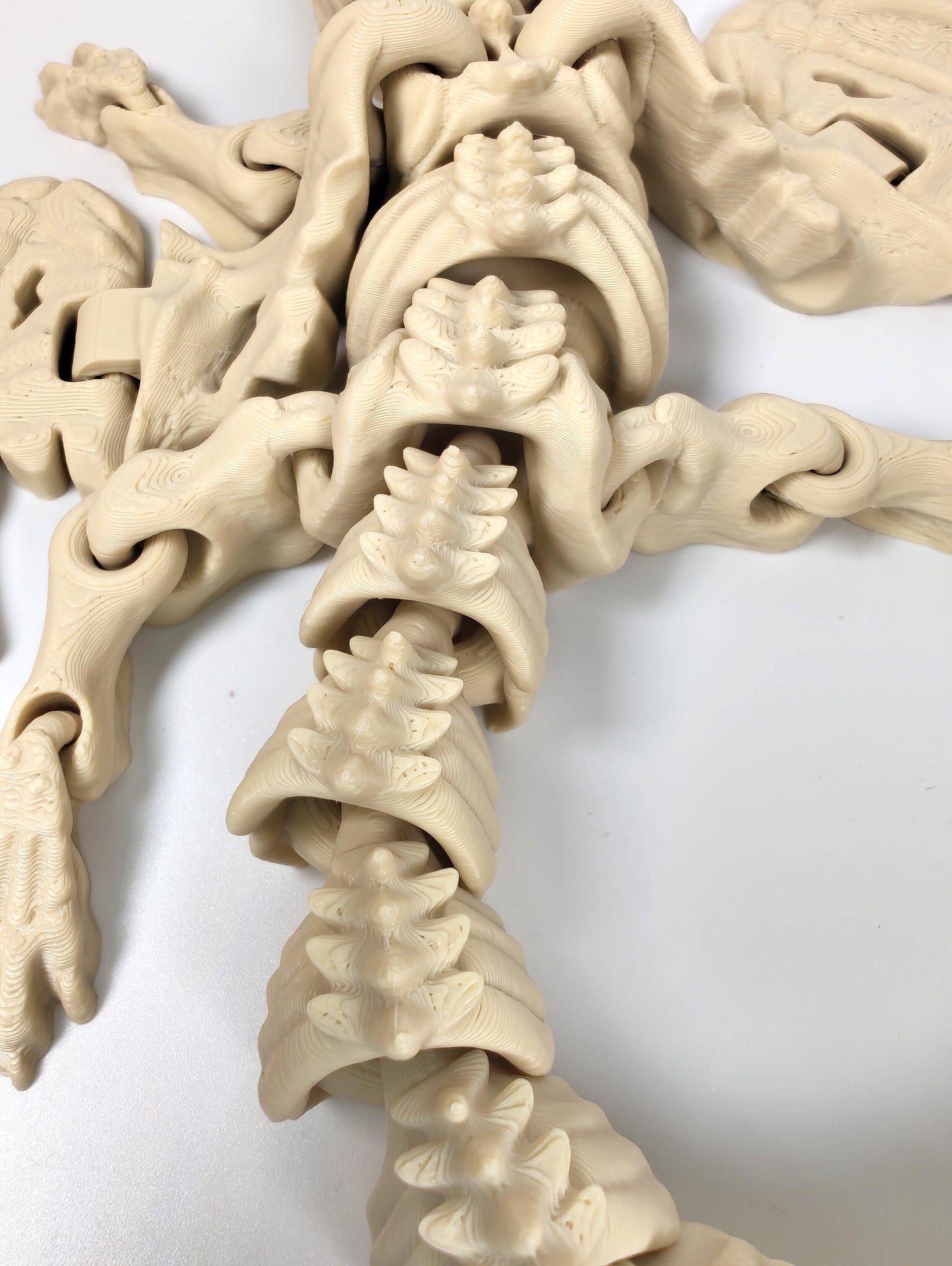 Articulated Skeleton Dragon Fidget Model – 3D Printed Flexi Bone Dragon