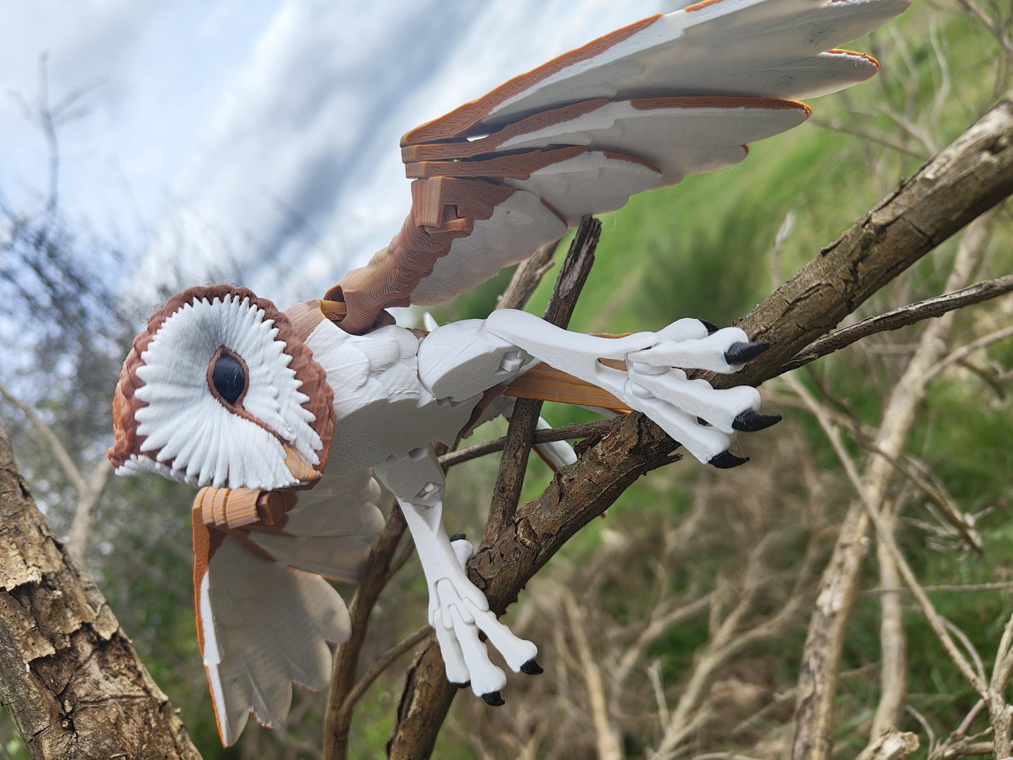 Articulated Barn Owl Model 3D Printed Owl - Bird of Prey - Bird Ornament Display Item - Bird Fidget