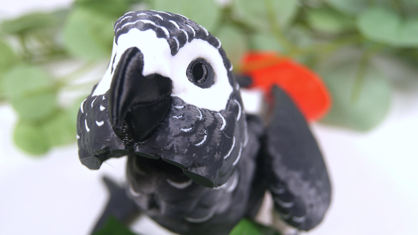 Articulated African Grey Parrot 3D Printed Parrot Model - 3D Printed African Grey Parrot - Bird Ornament Display Item - Bird Fidget