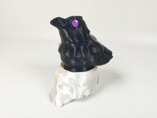 Raven and Skull Fidget Clicker: 3D Printed PLA Bird Crow Toy Fidget