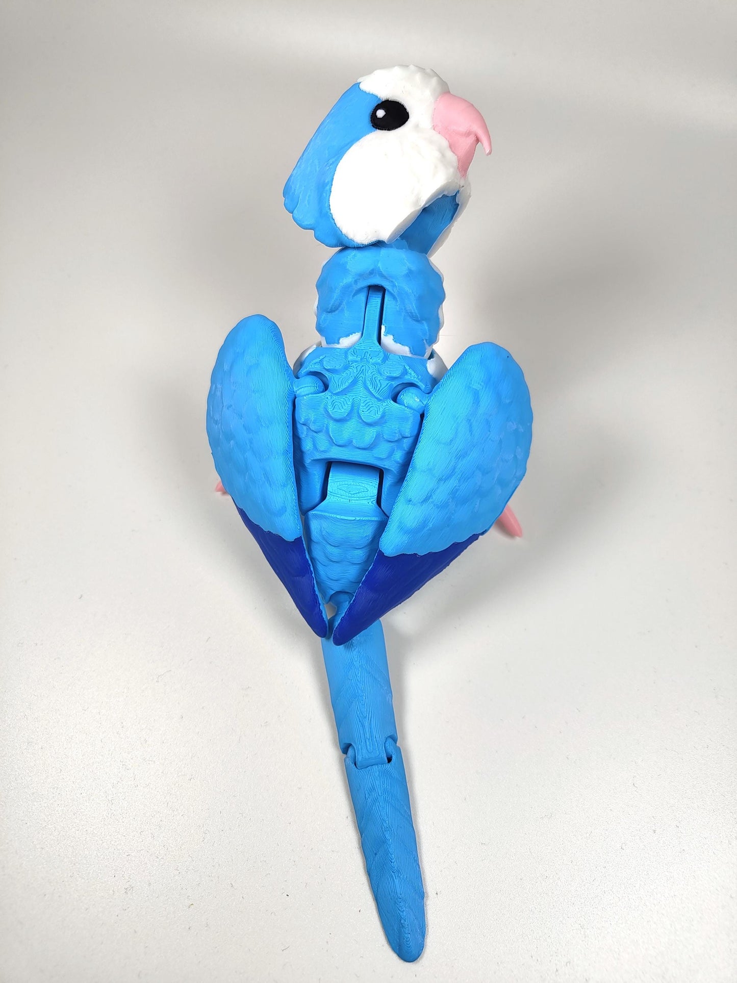 Articulated Quaker Parrot 3D Printed Parrot Model - 3D Printed Parrot - Bird Ornament Display Item - Bird Fidget