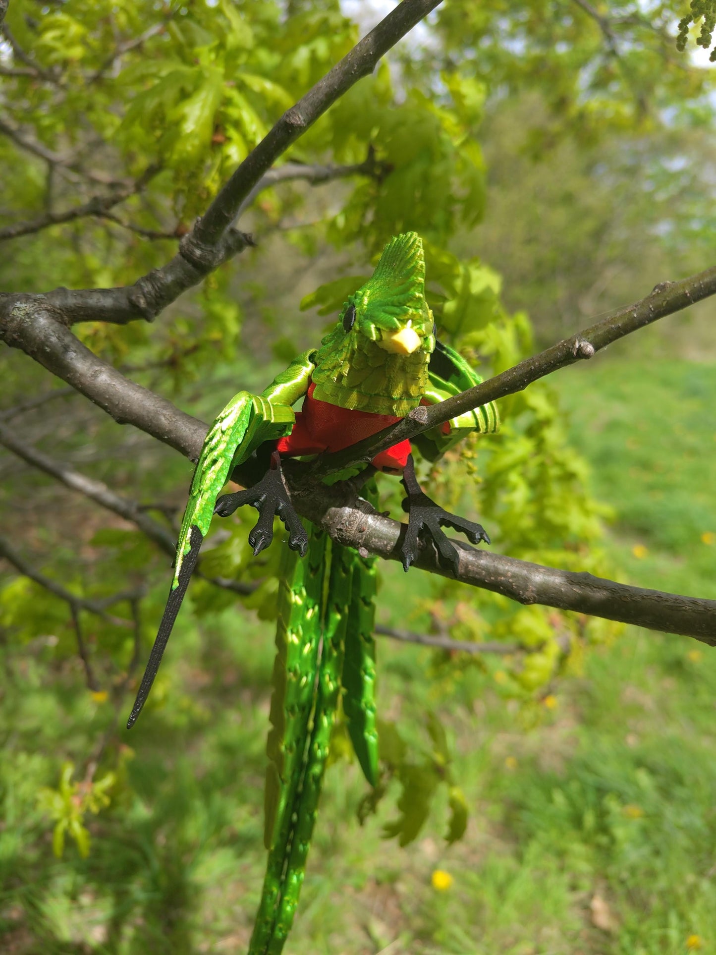 Articulated Quetzel Model 3D Printed Bird - Bird of Paradise - Bird Ornament Display Item - Bird Fidget