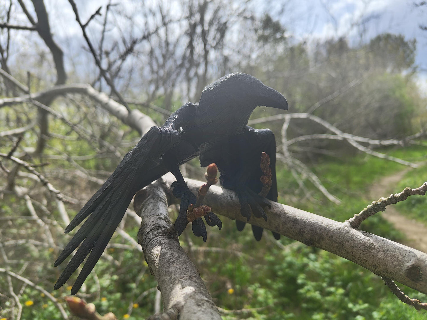 Articulated Raven Model 3D Printed Bird - 3D Printed Crow - Bird Ornament Display Item - Bird Fidget