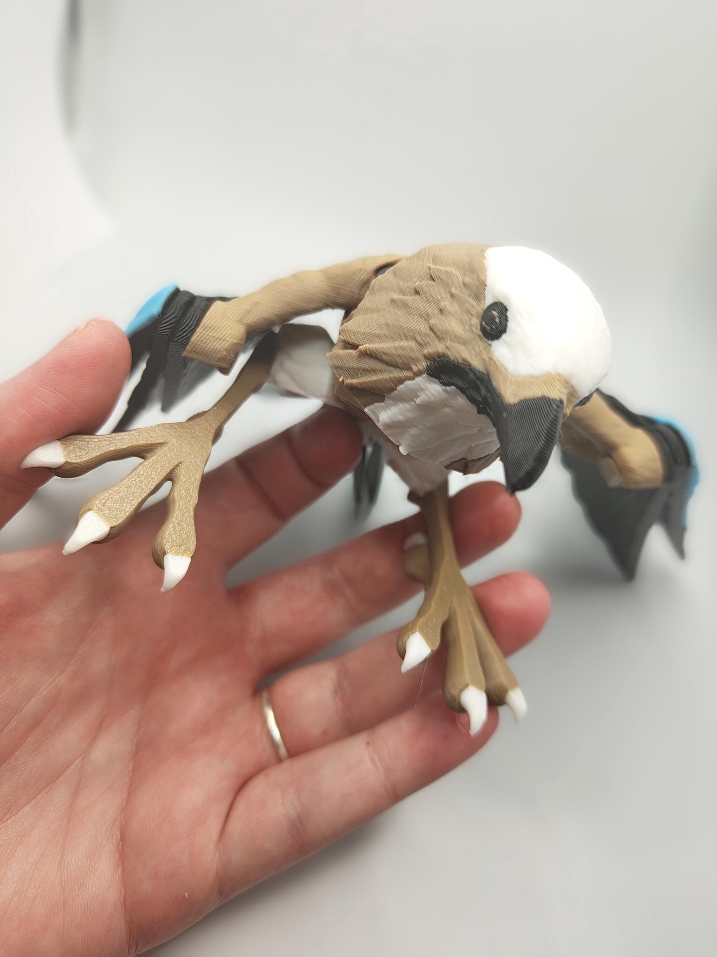 Articulated Jay Model 3D Printed Bird - Eurasian Jay - Bird Ornament Display Item - Bird Fidget