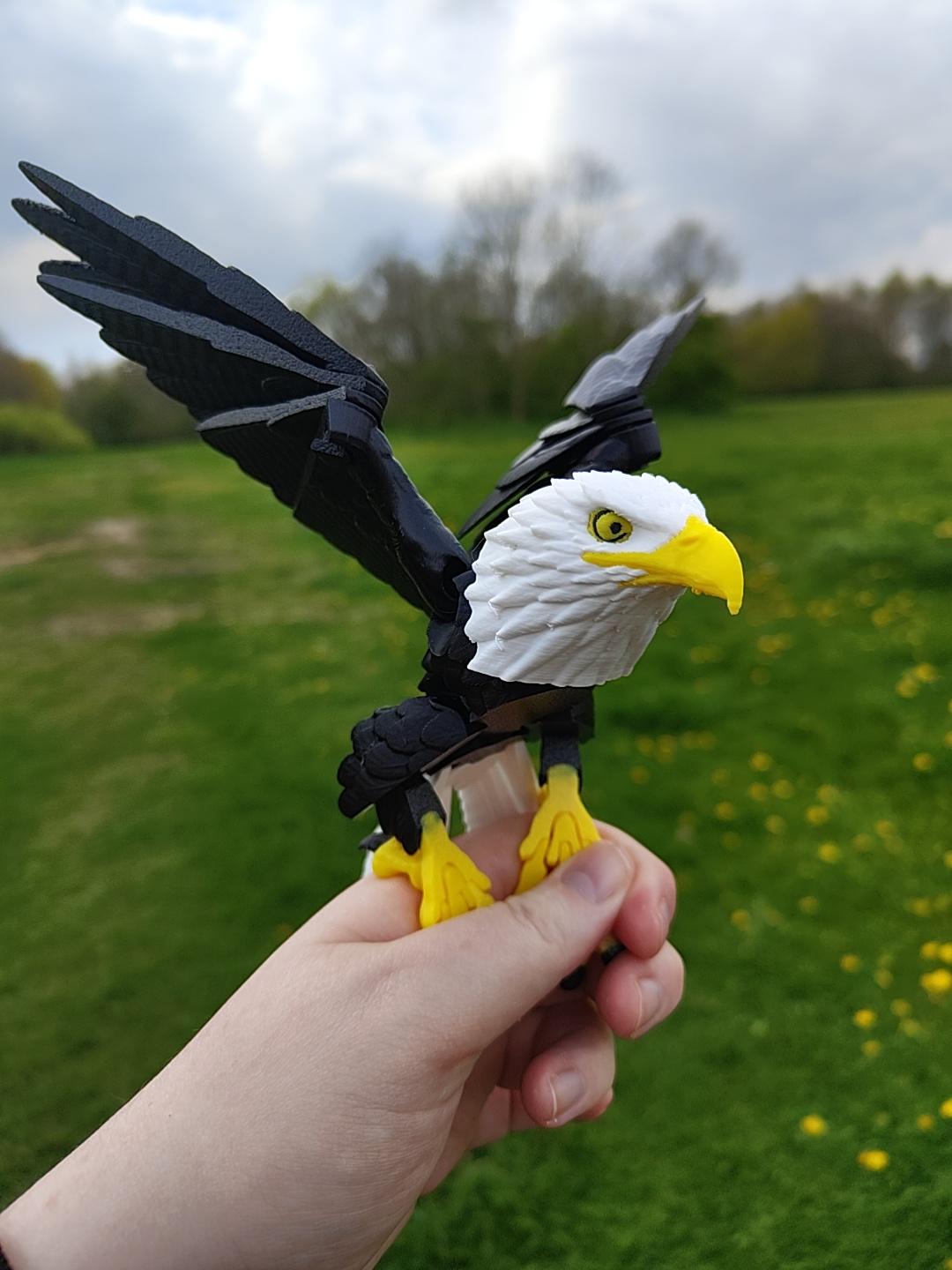 Articulated Bald Eagle Model 3D Printed Bird - Bird of Prey - Bird Ornament Display Item - Bird Fidget