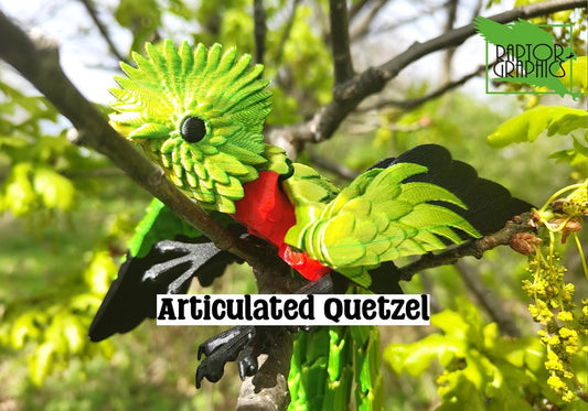 Articulated Quetzel Model 3D Printed Bird - Bird of Paradise - Bird Ornament Display Item - Bird Fidget