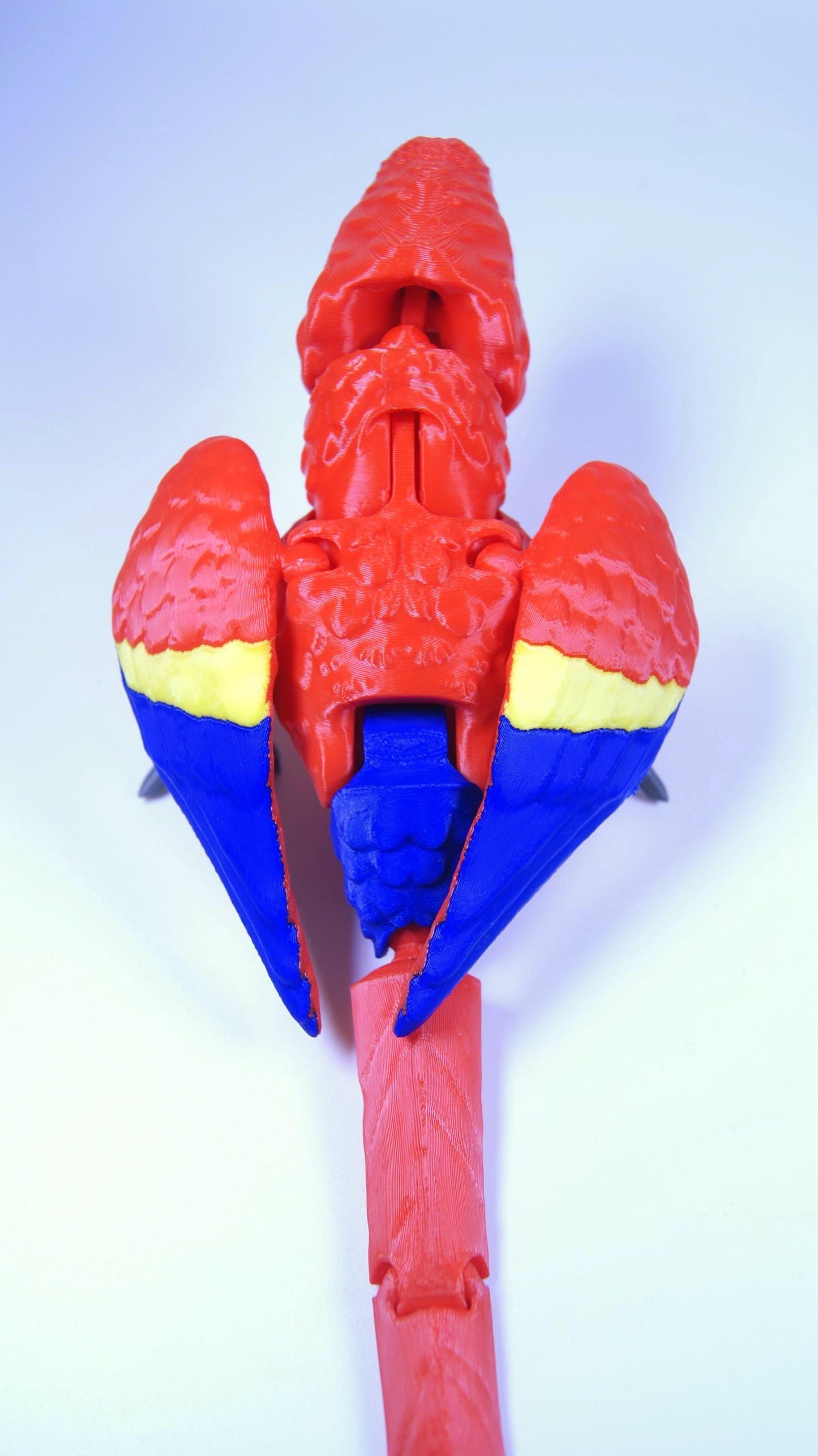 Articulated Scarlet Macaw 3D Printed Parrot Model - 3D Printed Macaw - Bird Ornament Display Item - Bird Fidget