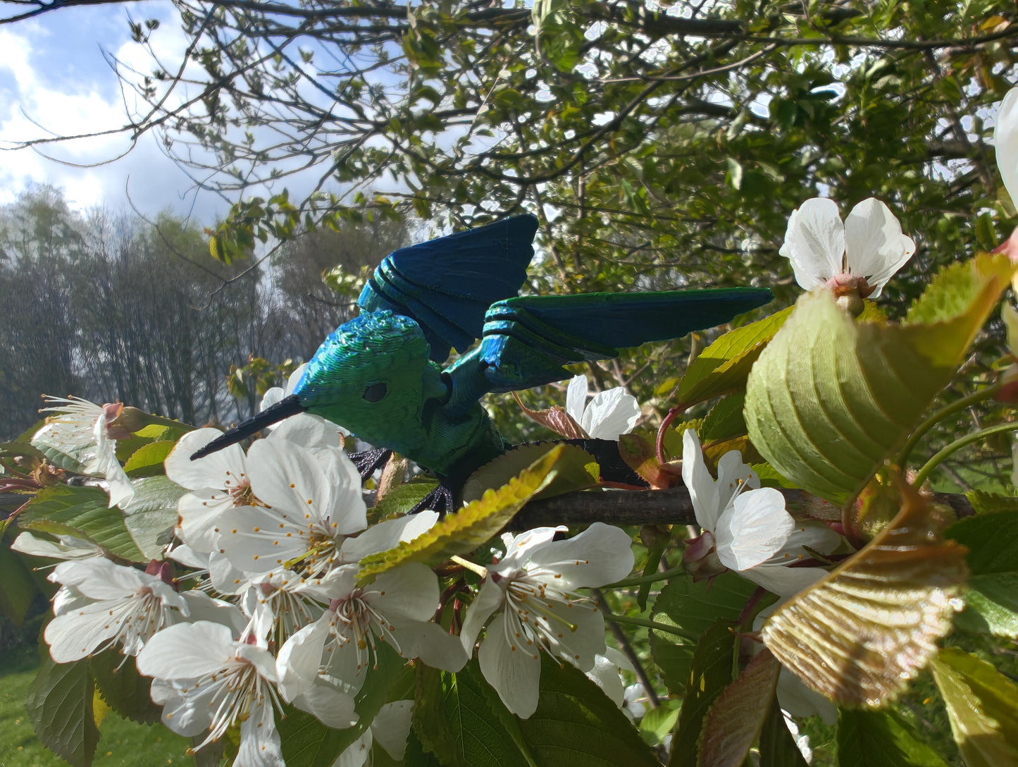 Articulated Hummingbird Model 3D Printed Bird - Flexi Hummingbird - Bird Ornament Display Item - Bird Fidget