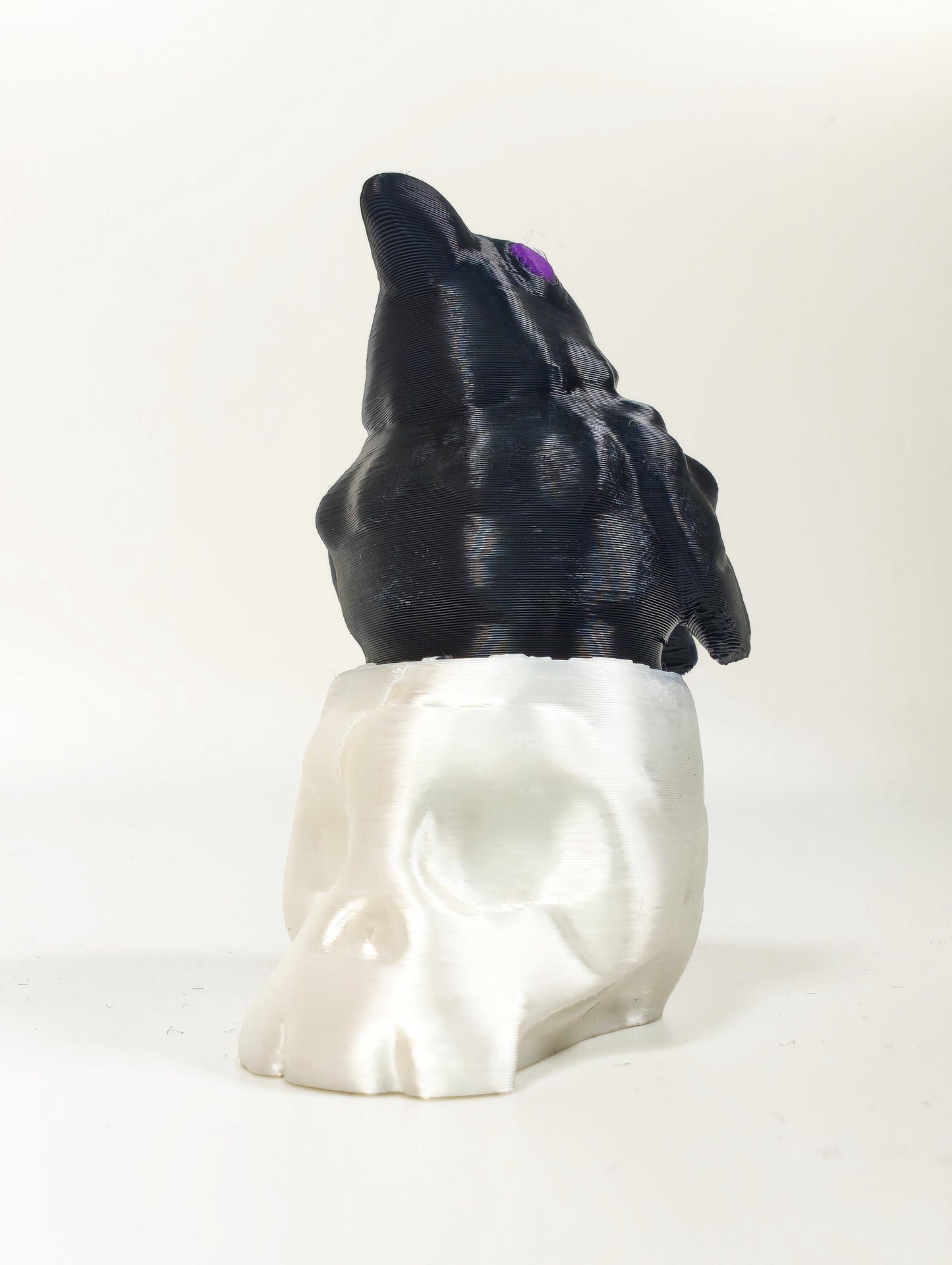 Raven and Skull Fidget Clicker: 3D Printed PLA Bird Crow Toy Fidget