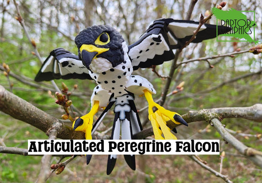 Articulated Peregrine Falcon Model 3D Printed Bird - Bird of Prey - Bird Ornament Display Item - Bird Fidget