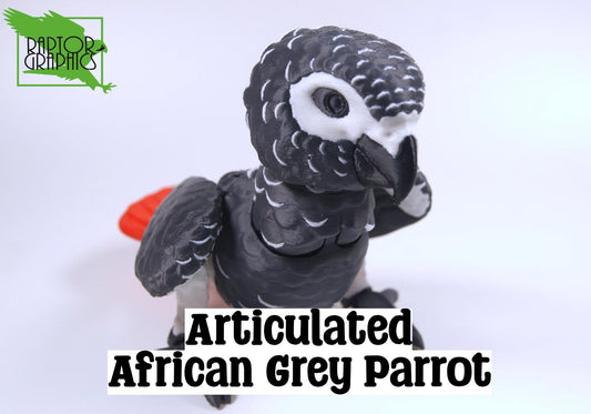 Articulated African Grey Parrot 3D Printed Parrot Model - 3D Printed African Grey Parrot - Bird Ornament Display Item - Bird Fidget