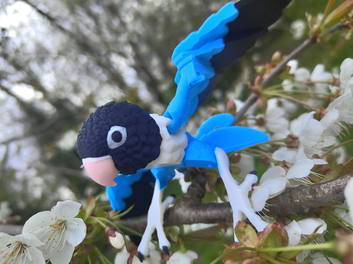 Articulated Lovebird Model 3D Printed Bird - Articulated Parrot - Bird Ornament Display Item - Bird Fidget