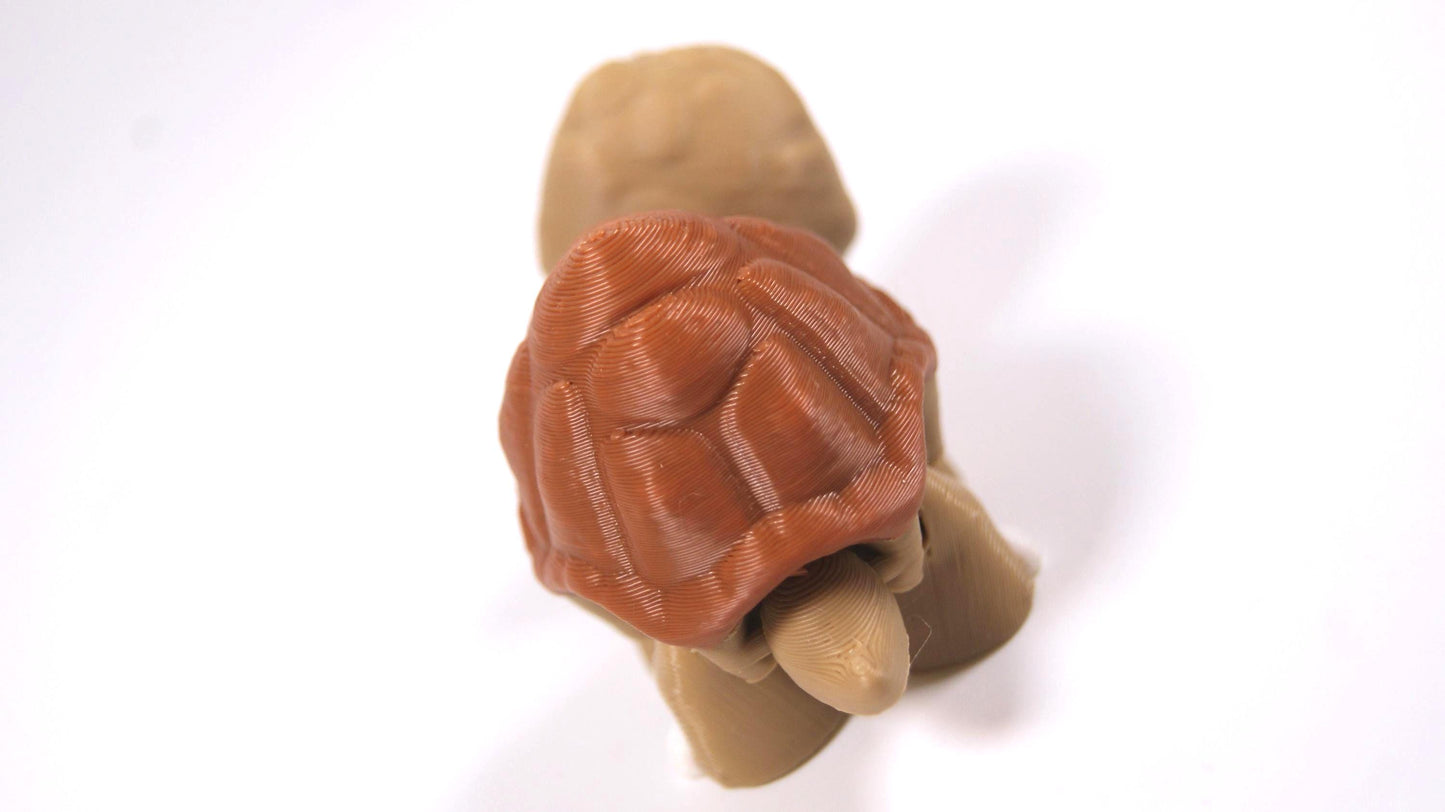 Articulated Tortoise Fidget Model – Flexible 3D Printed Tortoise Pocket Animal – Sensory Desk Pet