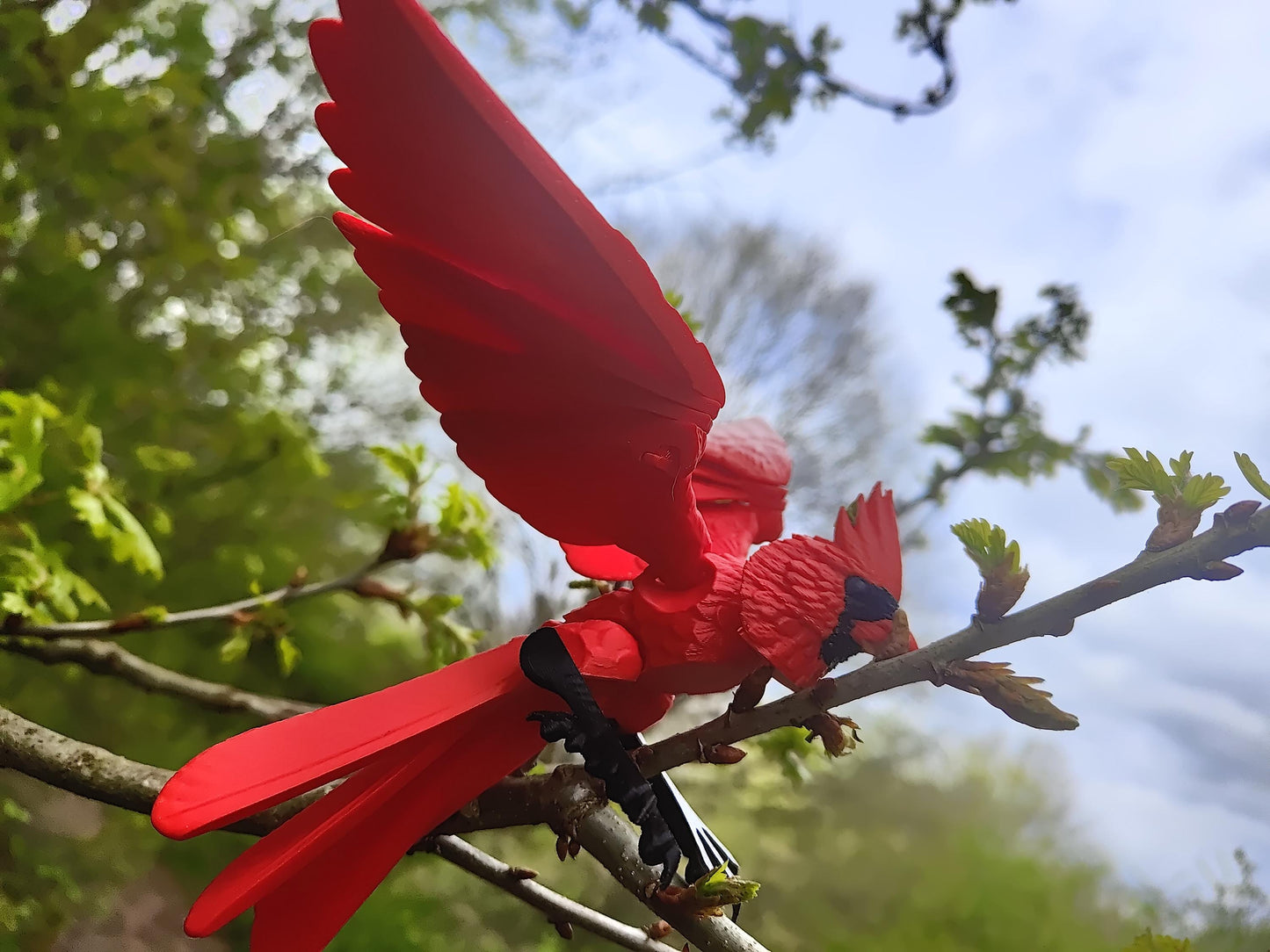 Articulated Cardinal Model 3D Printed Bird - Flexi Cardinal - Bird Ornament Display Item - Bird Fidget