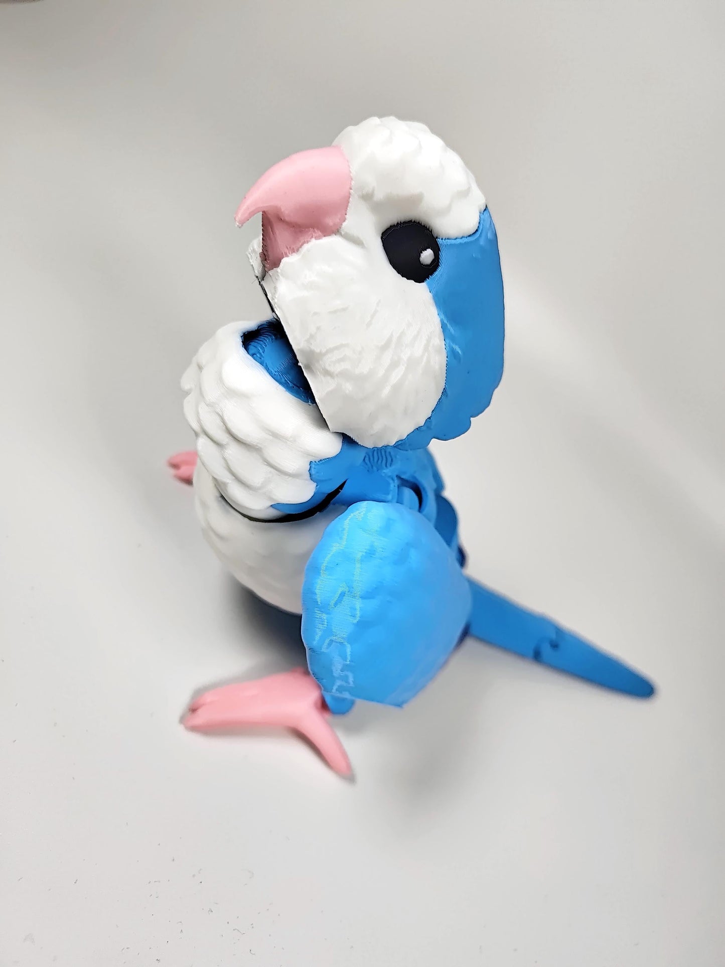 Articulated Quaker Parrot 3D Printed Parrot Model - 3D Printed Parrot - Bird Ornament Display Item - Bird Fidget