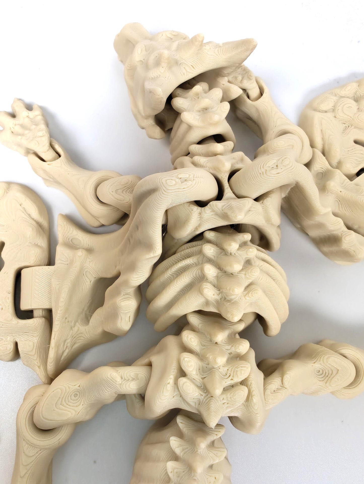 Articulated Skeleton Dragon Fidget Model – 3D Printed Flexi Bone Dragon
